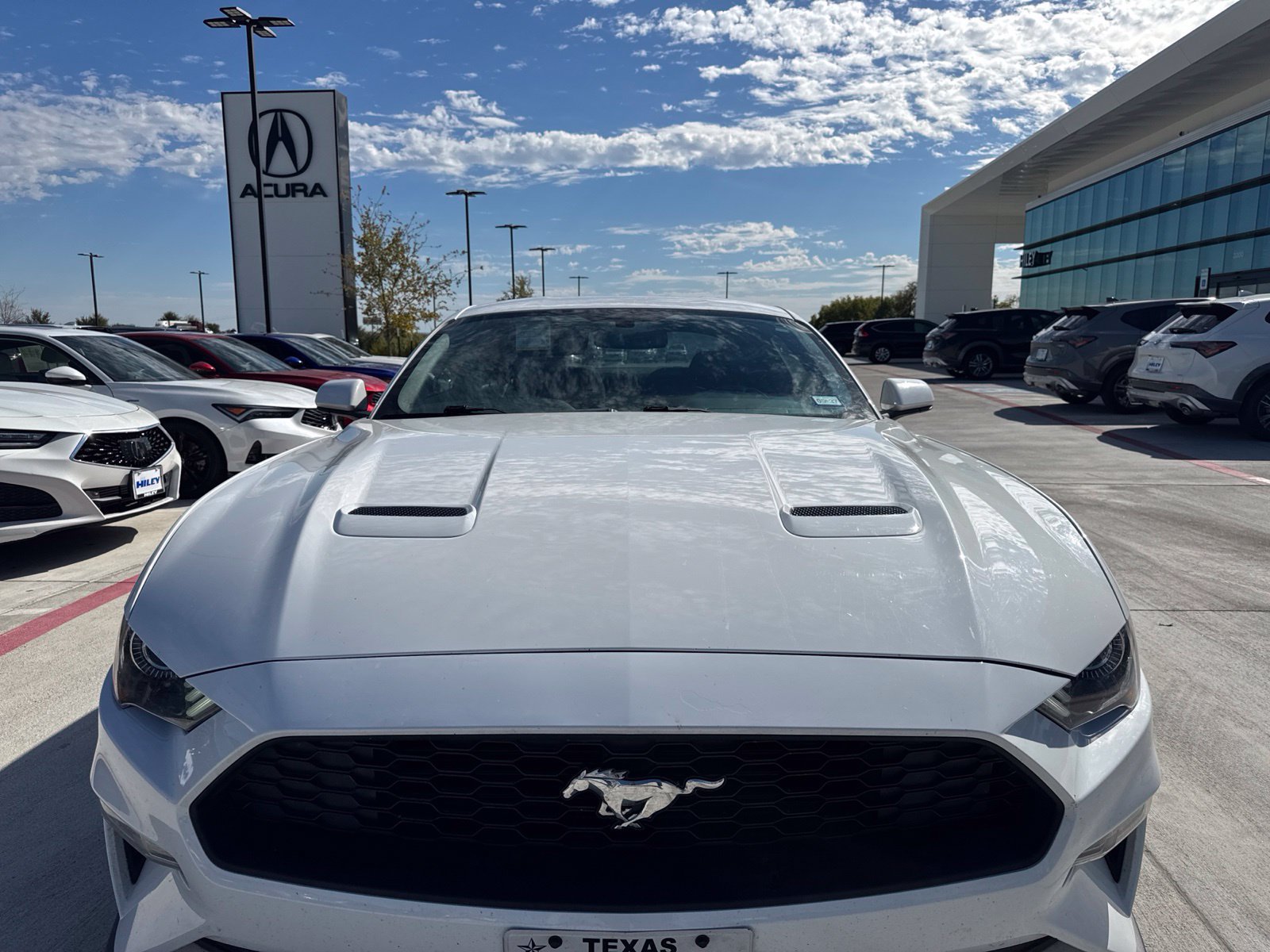 Used 2019 Ford Mustang Coupe w/ Equipment Group 101A RWD image 2