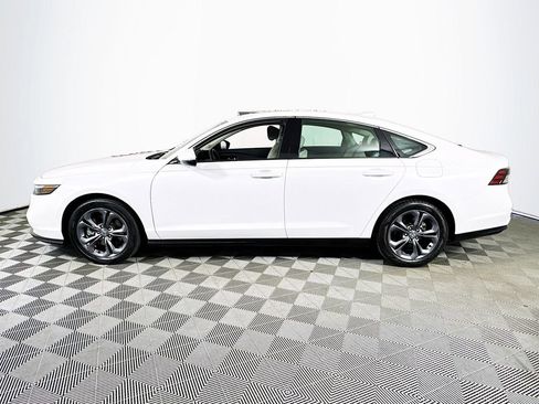 Used 2024 Honda Accord EX-L image 4
