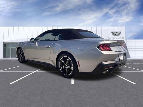 Used 2025 Ford Mustang Premium RWD image 6