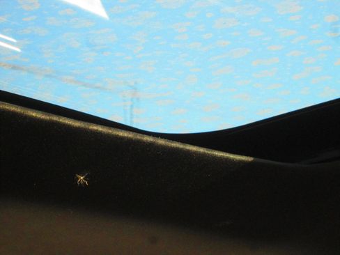 Used 2016 Ford Explorer Limited w/ Equipment Group 301A image 9