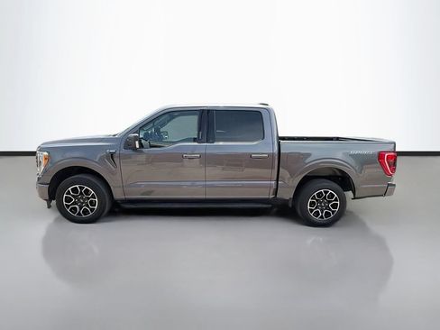 Used 2023 Ford F150 XLT w/ Equipment Group 302A High RWD image 4