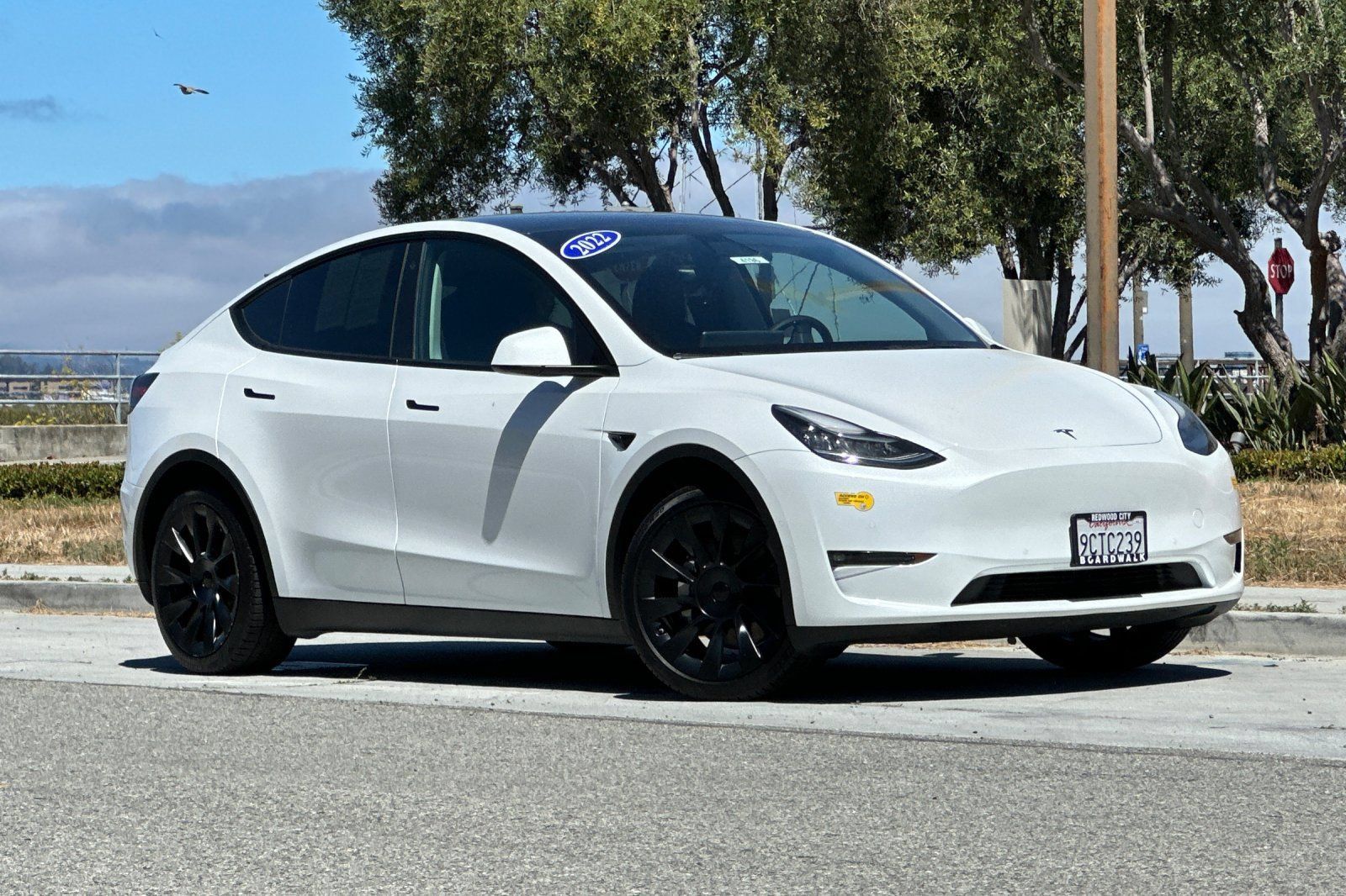 Used 2022 Tesla Model Y Long Range AWD/4WD image 2