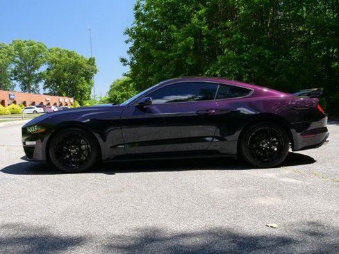 Used 2023 Ford Mustang GT w/ Mustang Nite Pony Package RWD image 31
