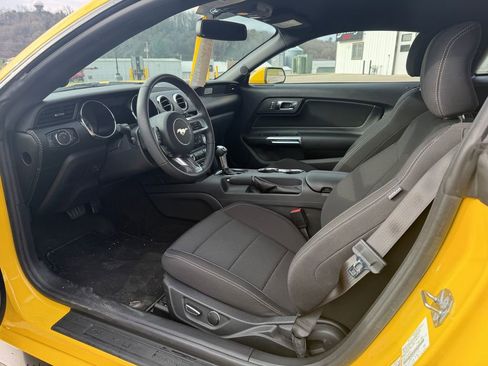 Used 2015 Ford Mustang Coupe w/ Equipment Group 051A image 3