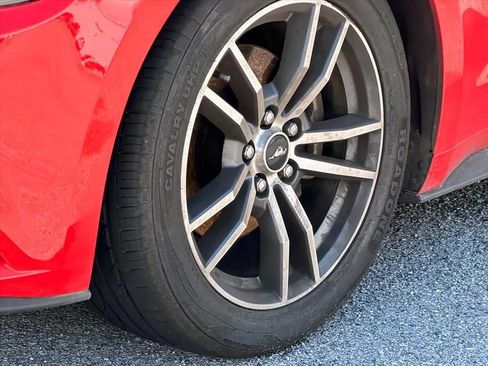 Used 2015 Ford Mustang Premium w/ Equipment Group 201A RWD image 6