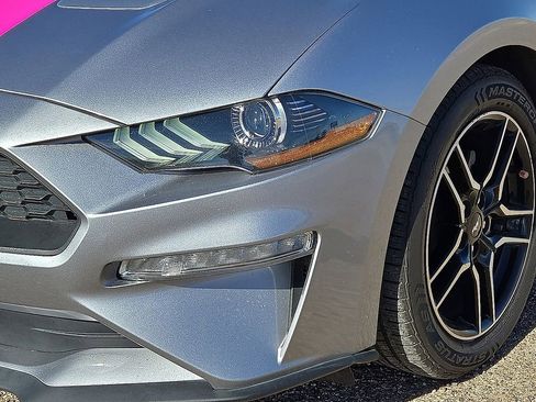 Used 2022 Ford Mustang Premium image 11