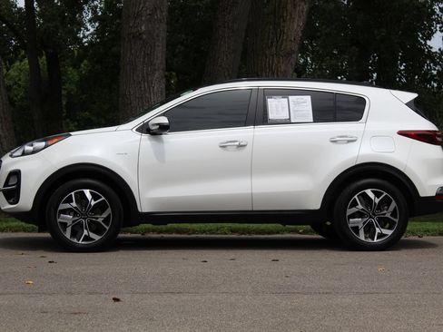 Used 2022 Kia Sportage EX w/ EX Technology Package AWD/4WD image 5