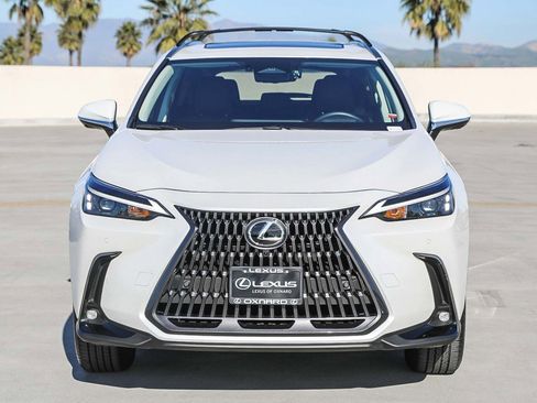 Used 2025 Lexus NX 350h AWD w/ Premium Package image 2