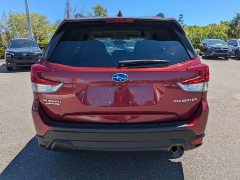 Used 2019 Subaru Forester Limited w/ Popular Package #3 image 6