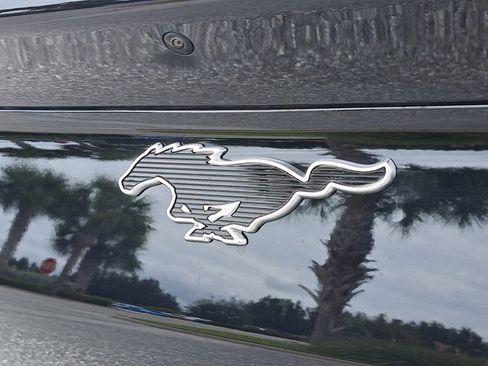 New 2025 Ford Mustang Mach-E Premium image 10