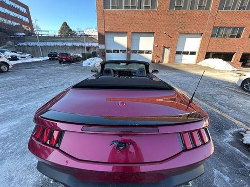 Used 2025 Ford Mustang Premium w/ Mustang Nite Pony Package image 24