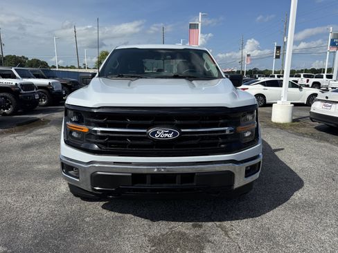 Used 2025 Ford F150 XLT w/ Equipment Group 301A Standard AWD/4WD image 5