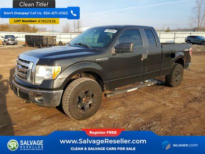 Used 2011 Ford F150 XLT