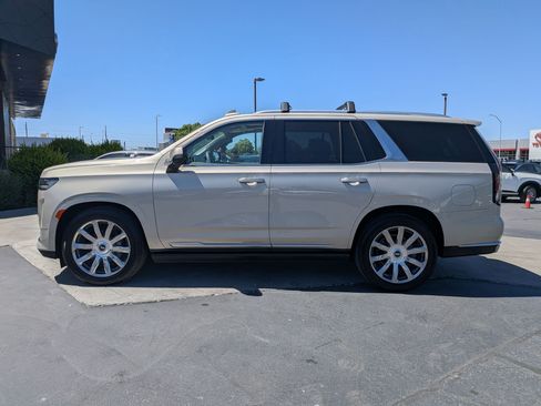 Used 2021 Cadillac Escalade Premium Luxury Platinum AWD/4WD image 8