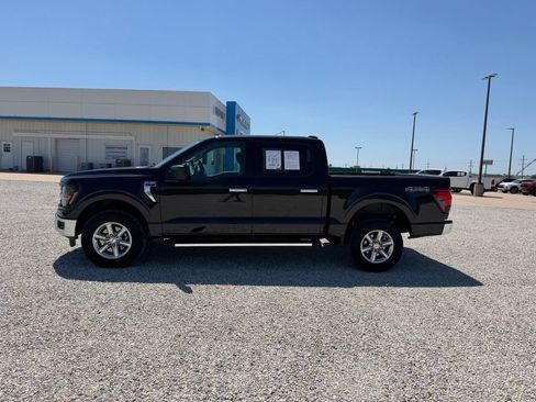 Used 2025 Ford F150 XLT w/ Equipment Group 301A Standard AWD/4WD image 6