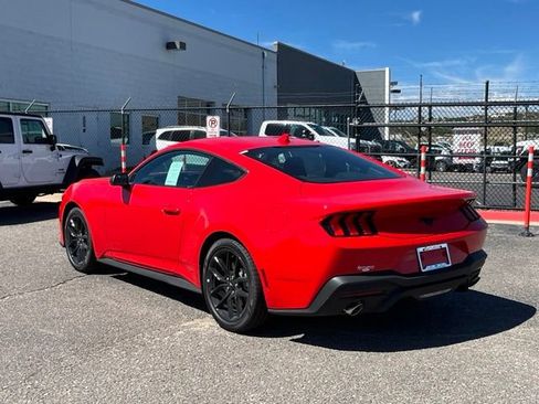 New 2026 Ford Mustang Coupe w/ Mustang Nite Pony Package RWD image 3