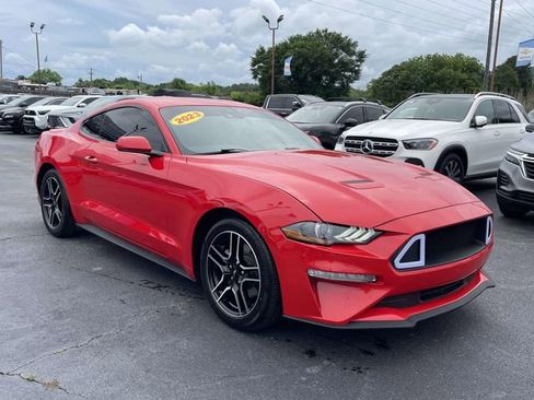Used 2023 Ford Mustang Premium RWD image 6