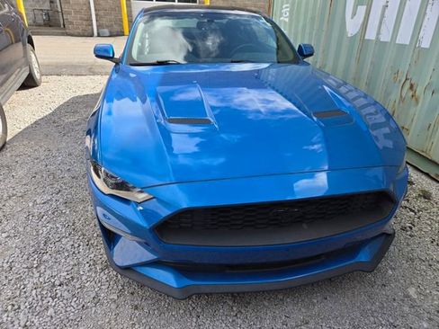 Used 2019 Ford Mustang Coupe w/ Black Accent Package image 2