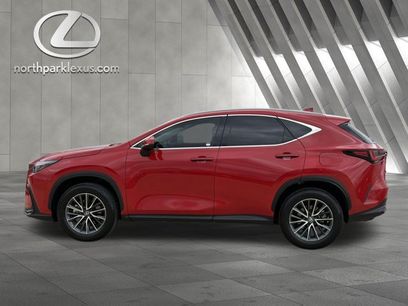 Certified 2025 Lexus NX 250 FWD w/ Cold Area Package