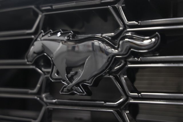 Used 2024 Ford Mustang Dark Horse RWD image 4