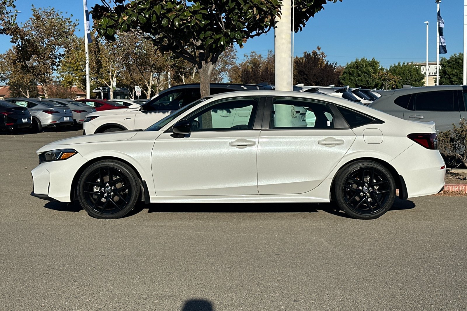 Used 2025 Honda Civic Sport image 7