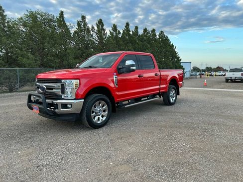 Used 2019 Ford F250 XLT w/ XLT Premium Package AWD/4WD image 2