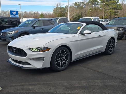 Used 2019 Ford Mustang Premium image 1