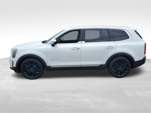 Used 2020 Kia Telluride SX w/ SX Prestige Package AWD/4WD image 7