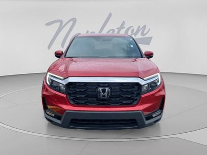 Used 2025 Honda Passport EX-L