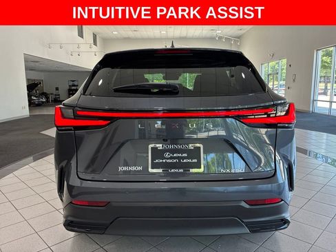 Certified 2025 Lexus NX 250 FWD w/ Cold Area Package image 6