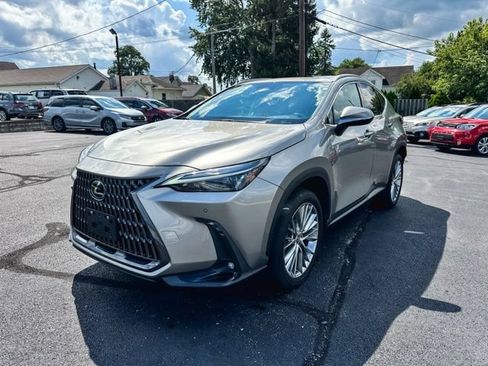 Used 2025 Lexus NX 350h AWD w/ Cold Area Package image 3
