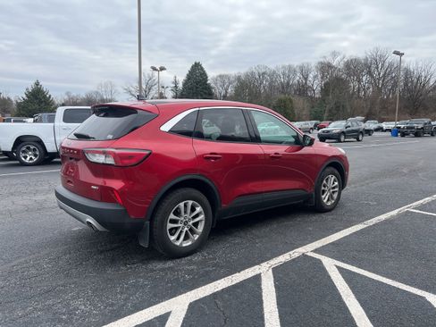 Used 2020 Ford Escape SE image 6