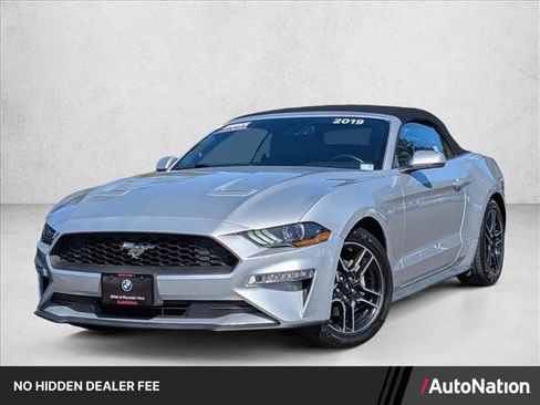 Used 2019 Ford Mustang Premium RWD image 1