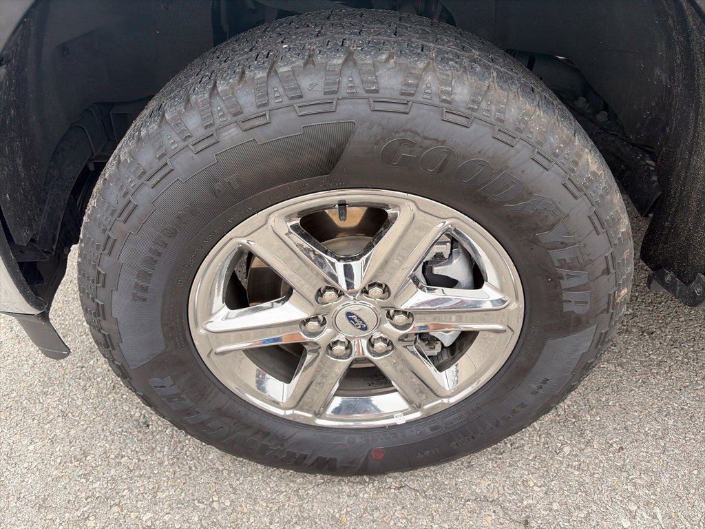 Used 2025 Ford F150 XLT w/ Equipment Group 301A Standard AWD/4WD image 10