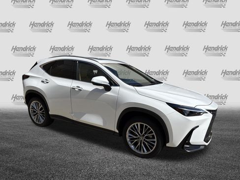 Certified 2026 Lexus NX 350 AWD w/ Cold Area Package image 2