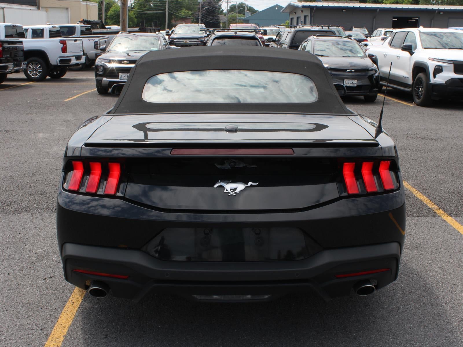 Used 2025 Ford Mustang Convertible RWD image 6