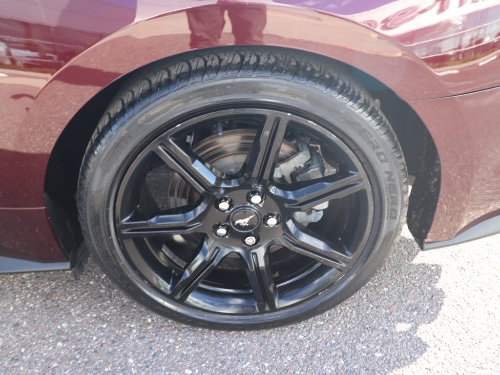 Used 2018 Ford Mustang GT Premium w/ Equipment Group 401A RWD image 19