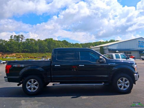 Used 2019 Ford F150 XLT w/ Equipment Group 302A Luxury AWD/4WD image 6