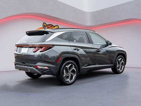 Used 2024 Hyundai Tucson Limited image 5