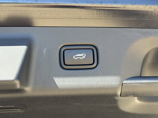 Used 2025 Hyundai Palisade Calligraphy AWD/4WD image 12