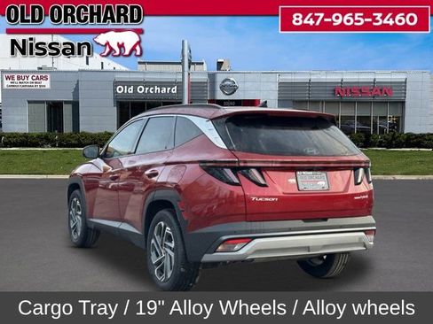 Used 2025 Hyundai Tucson Limited image 8