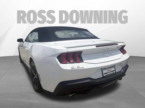 Used 2024 Ford Mustang Premium RWD image 6