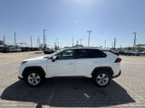 Used 2019 Toyota RAV4 XLE image 5