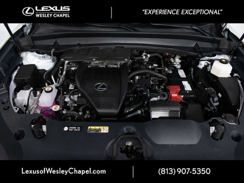 Used 2025 Lexus TX 350 AWD image 13