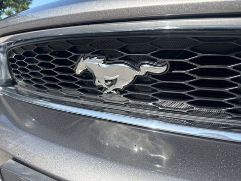 Used 2014 Ford Mustang Coupe w/ Equipment Group 102A RWD image 4