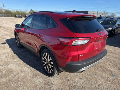Used 2020 Ford Escape SE Sport image 2