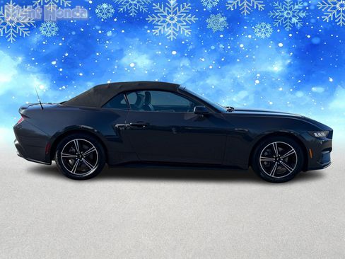 Used 2024 Ford Mustang Premium image 8