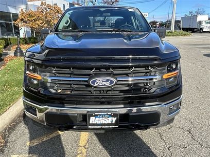 Used 2025 Ford F150 XLT w/ Equipment Group 301A Standard