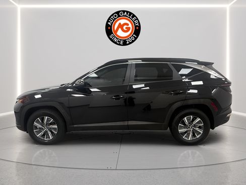 Used 2023 Hyundai Tucson Blue AWD/4WD image 6