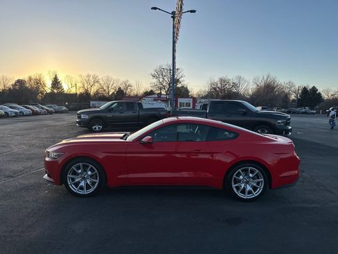 Used 2015 Ford Mustang Premium w/ Equipment Group 201A image 10